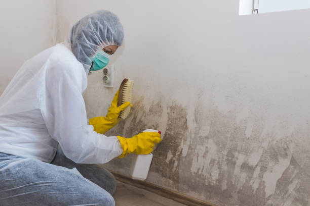 Best Airborne Mold Testing  in Bakersfield, CA