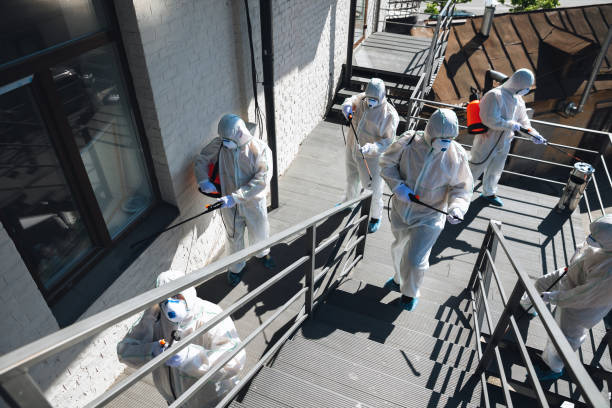 Best Post-Construction Mold Inspection  in Bakersfield, CA