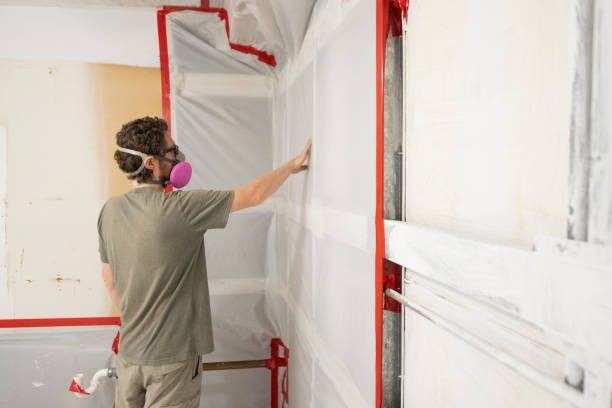 Best Mold Documentation for Insurance Claims  in Bakersfield, CA