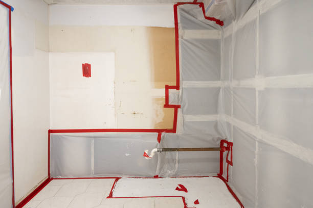 Best Water Damage & Mold Remediation  in Bakersfield, CA