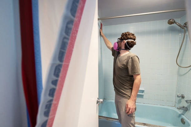 Environmental Consulting for Mold Prevention in Bakersfield, CA