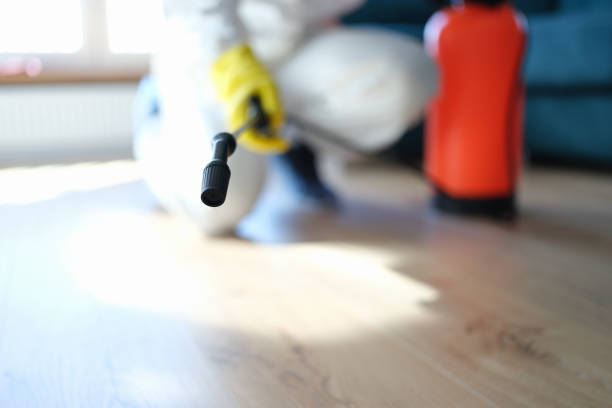 Best Forensic Mold Investigation  in Bakersfield, CA