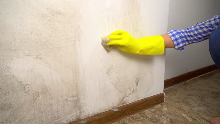 Best Mold Remediation for Healthcare Facilities  in Bakersfield, CA