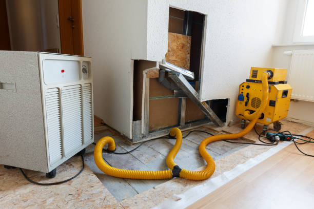 Best Mold Removal for HVAC Installations  in Bakersfield, CA
