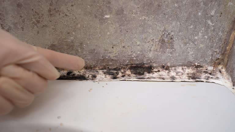 Best Air Quality Testing for Mold Spores  in Bakersfield, CA