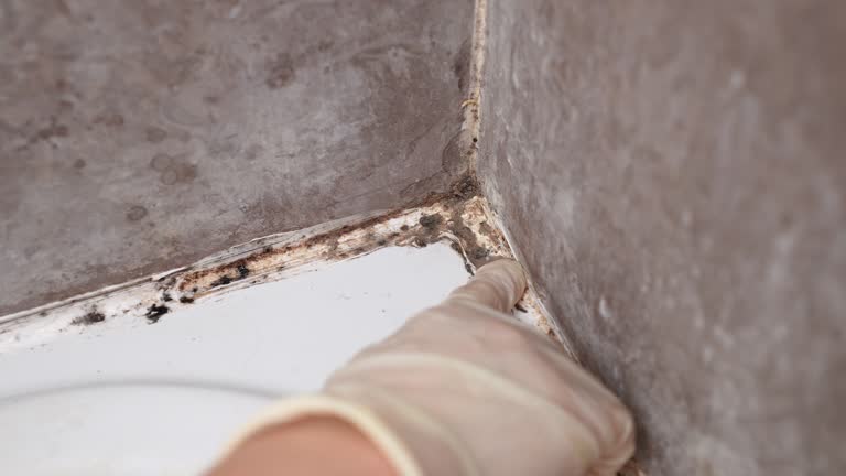 Best Post-Remediation Verification Testing  in Bakersfield, CA