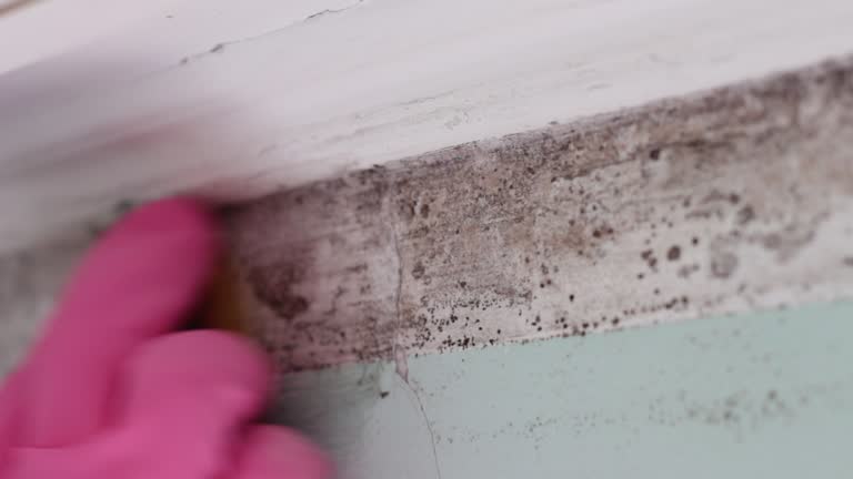 Best HVAC Mold Inspection and Cleaning  in Bakersfield, CA